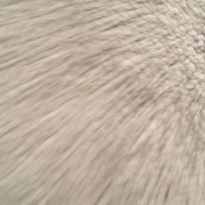 Meet your Posher, Isaiah